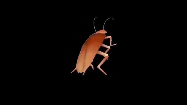 Creative song rus dance смотреть онлайн