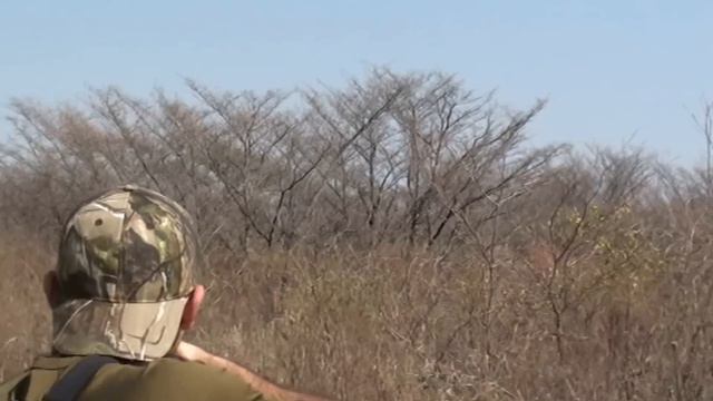 Охота в ЮАР 2012 смотреть онлайн