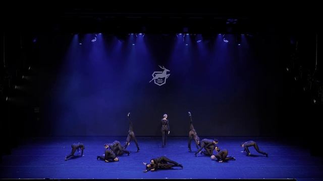 Volga Champ 17 | Best Ladies Show Pro | Wide view | Notflowers смотреть онлайн