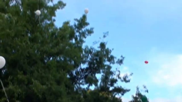 2016 06.17. Manolisz Glezosz 12 Évfolyamos Kiegészítő Görög Nyelvoktató Iskola смотреть онлайн