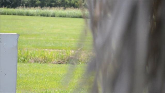Nikon D3100 Video Test with Nikkor Lens 18-55mm смотреть онлайн