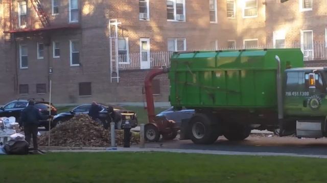 Уборка листьев США New York часть 2 Америка USA New York cleaning leaves смотреть онлайн