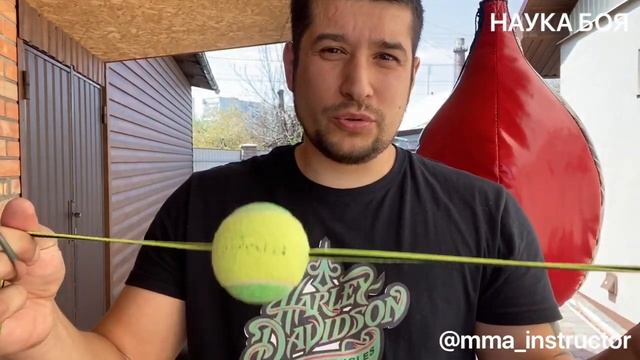 Бойцовский тренажер для школьников и взрослых! смотреть онлайн