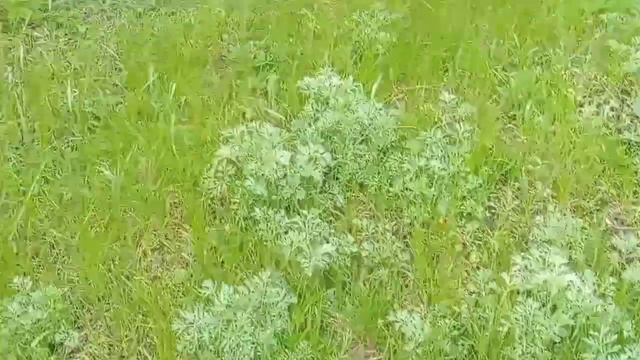 Хорошо попарились в Баньке|Интересные истории из жизни. смотреть онлайн