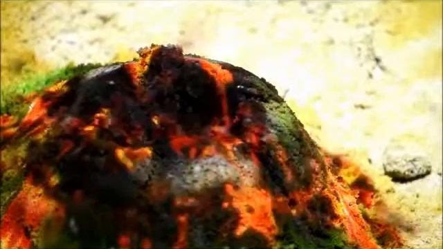 Интерактивная песочница, сделана в России Interactive project смотреть онлайн