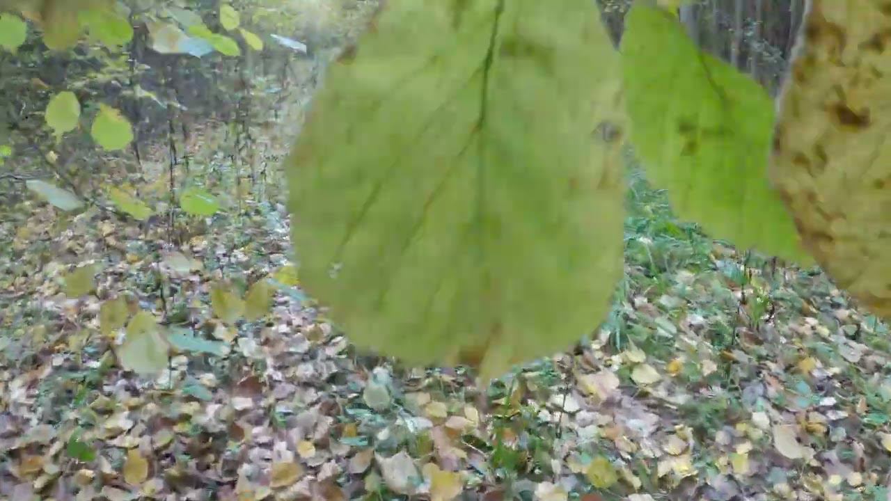 7.10.2022_9 смотреть онлайн