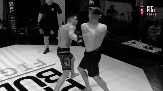 Pitbull fight ( Aleksandr Kovalenko ) смотреть онлайн