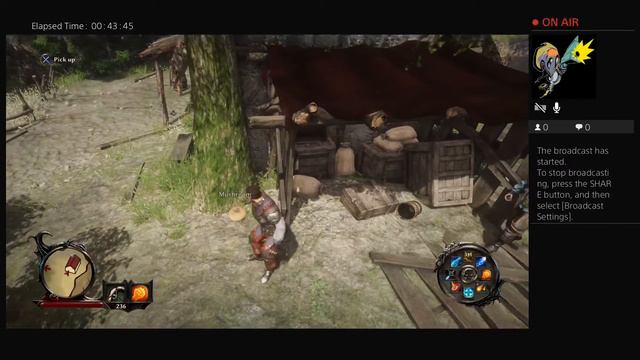 Risen 3 Enhanced Edition смотреть онлайн