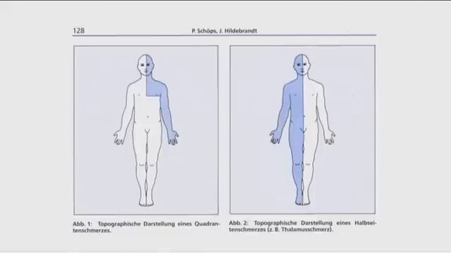 FIBROMYALGIE- Prof. Bauer vortrag uber chirurgische Quadrantenintervention смотреть онлайн