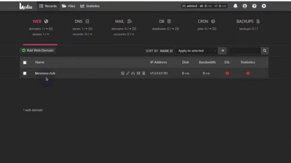 How to set up DNS on HestiaCP -  Use Cloudflare or Personal Nameservers for HestiaCP DNS