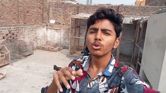 Kajal Gang Ko First Time Setup Py Ly Aye ? Panther Kush Hogaya ❤️ смотреть онлайн