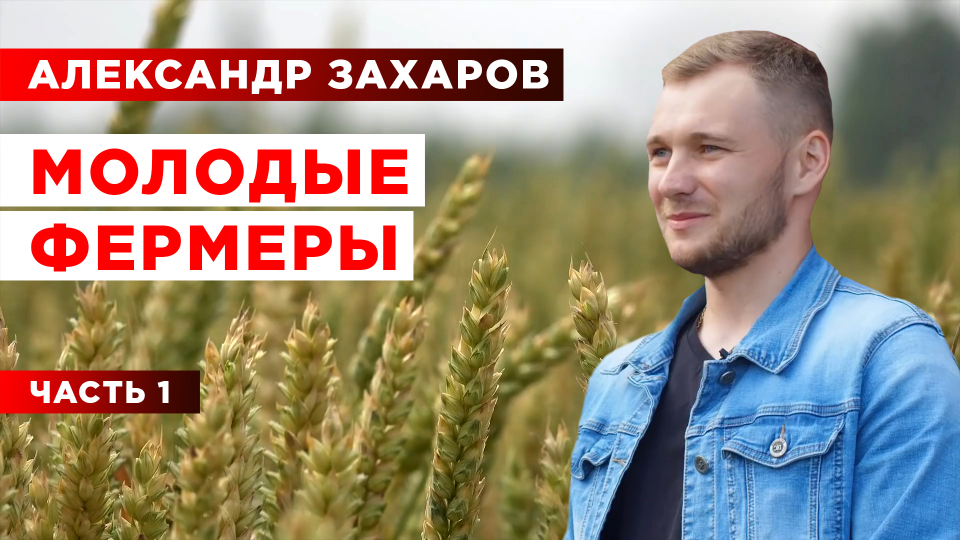 Как стать фермером? | Молодой фермер | Проблемы фермеров