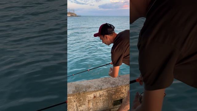 Сочи море рыбалка смотреть онлайн