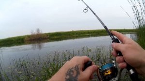 Ловим хищника на поверхностные приманки | Поппер рулит | 2018