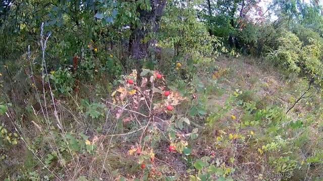 Экстрим тур по островам Днепра. Дикие моменты ч.1 смотреть онлайн