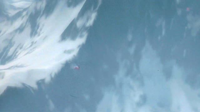 SSX XBOX 360 GAME REVIEW