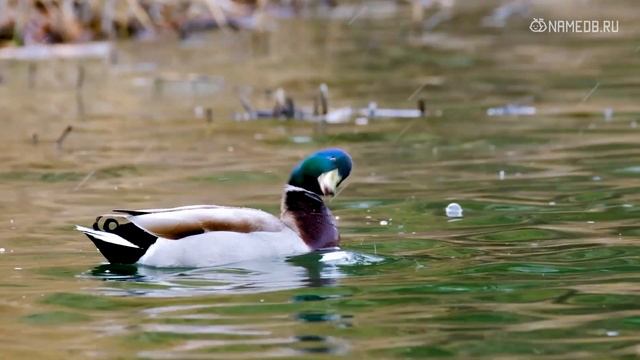 Никакого хэппи энда. 6 пар знаков Зодиака смотреть онлайн
