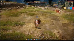 Black Desert ПвП на пробужденном Воине
