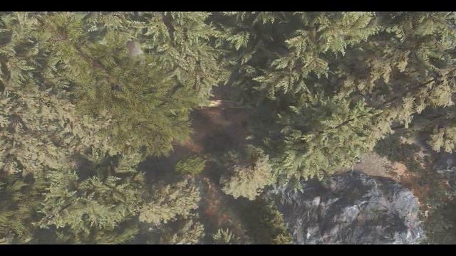 [5K] Skyrim SE:🌴 🌿 Mist Walkkeer Tree Custom Mod 🌲 🌳 смотреть онлайн