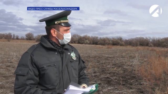 Участок земли сельхоз назначения в Володарском районе зарастает сорняками.mp4 смотреть онлайн