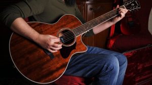 MASSIMILIANO PAGLIUSO - IBANEZ AE 245-NT