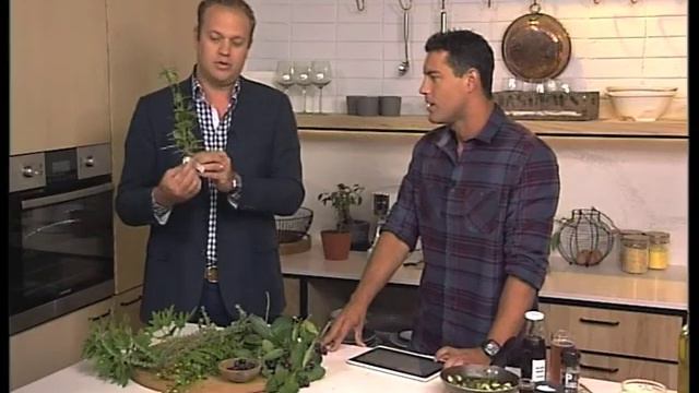 Indigenous Fynbos Plants смотреть онлайн