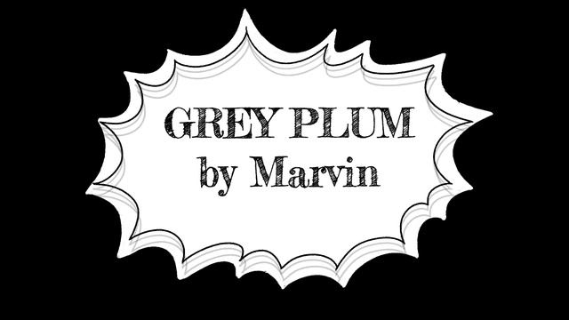 GREY PLUM by MARVIN смотреть онлайн