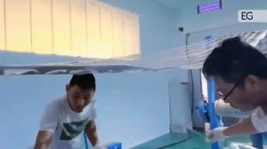 Термоформовочный станок для изготовления пластиковых стаканов и тарелок BC-115