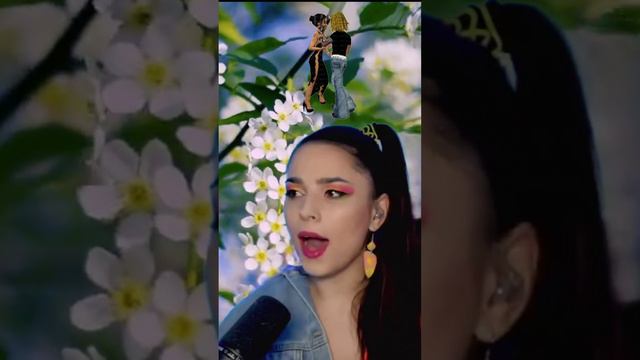 Черёмуха белая. смотреть онлайн