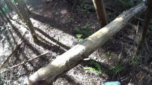 РЫБАЛКА С РОГАТКОЙ.как правильно целиться