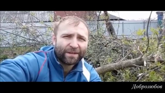 Фома неверующий (Добролюбов Павел) смотреть онлайн