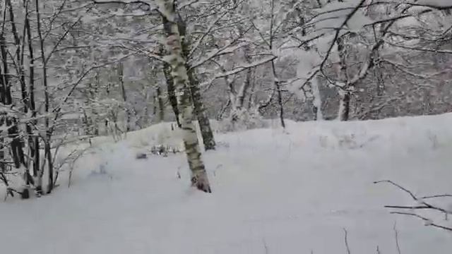 Сказочный Матвеевский Парк смотреть онлайн