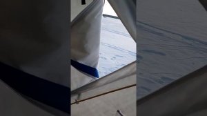 Купил палатку ПУЛЬСАР!!!,первые впечатления после палатки ПОЛАР БЁРД.