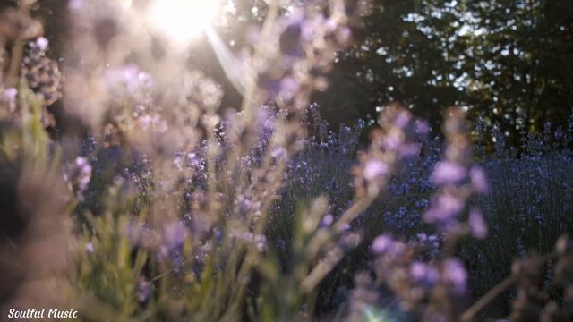 ?Самая красивая мелодия в мире... Я плакала, слушая эту песню! теплого солнечного дня!??#1 смотреть онлайн