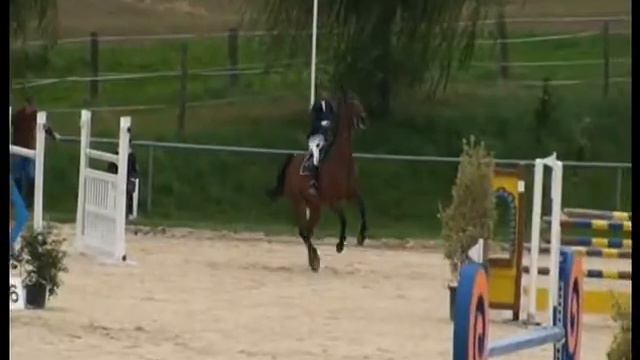 Heiniger-Pferde 10j. br. St. Old. von Grandeur x Rescator смотреть онлайн