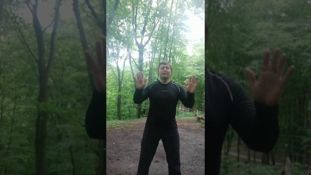 Даосские практики с Андреем Денисенко