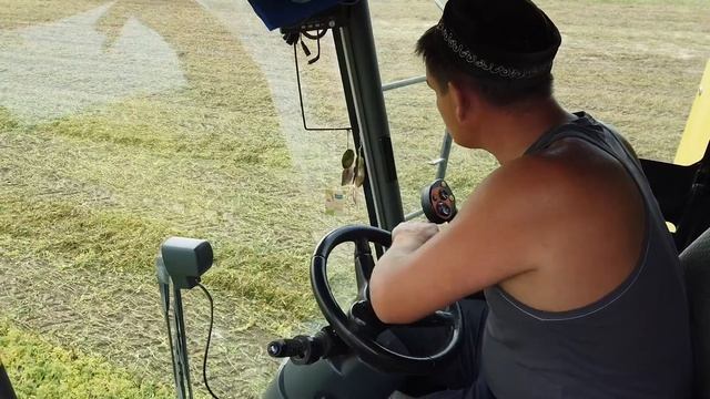 Как убирают зеленый горошек смотреть онлайн