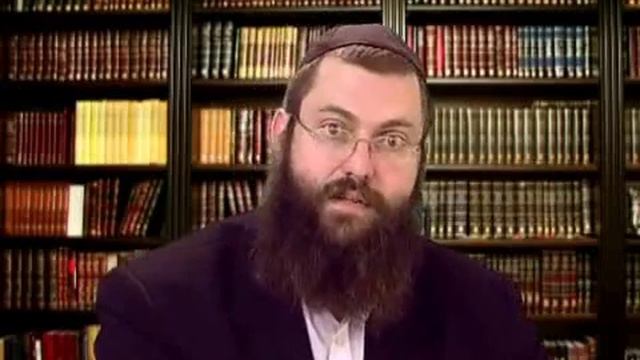 Video20 11 2013 14 36 20 смотреть онлайн