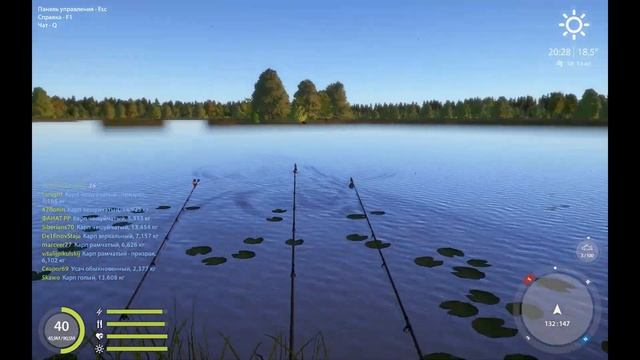 озЯнтарное Фарм Карпа РР4