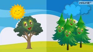 Деревья | Дошкольники | Окружающий мир #4 | Инфоурок