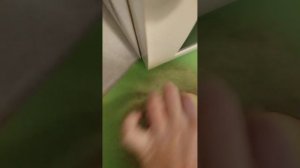 Уход за попугаем (пиррура)