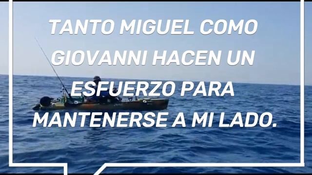 Marlin nos pasea en kayak смотреть онлайн