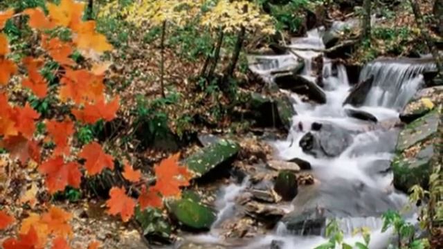 Ф. Шопен - Осень смотреть онлайн