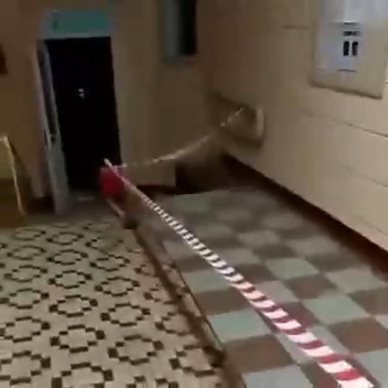 Положили плитку в подъезде смотреть онлайн