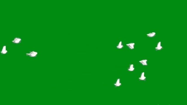 Birds flying animation effects green screen HD video || chroma key bird fly effects HD footages смотреть онлайн