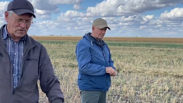 No-till на солонцах возможен! смотреть онлайн