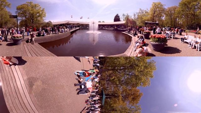 Flower Gardens The Keukenhof 360 Video