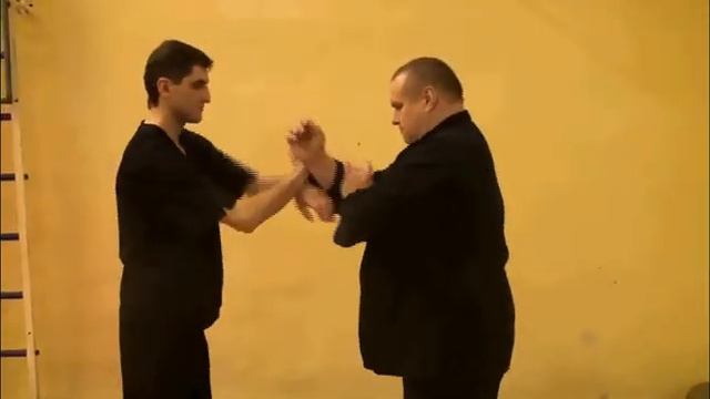 Вин чун цикл бон сао с ударами локтями смотреть онлайн