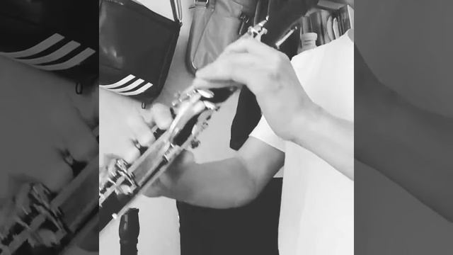 F.Mendelssohn：Overture "The Fingal's Cave Clarinet solo смотреть онлайн