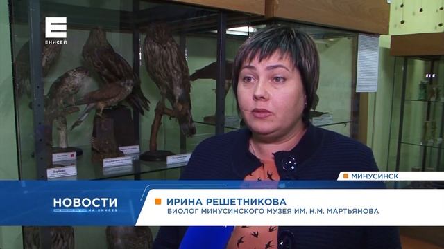 Краснокнижные птицы прилетели на искусственное озеро на окраине Минусинска (Икс Минусинск) смотреть онлайн